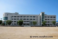 솔내고등학교