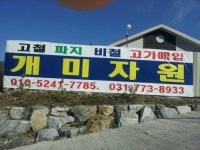 개미자원