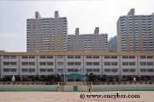 연일초등학교