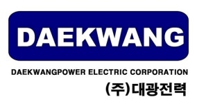대광전력