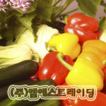 엠에스트레이딩