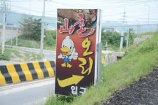 산촌오리