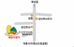 새금다정자