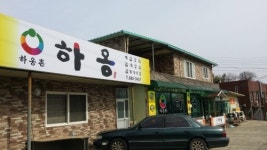 하옹