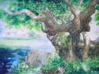 영주피카소미술