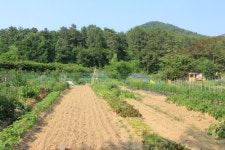 오륜대착한주말농장