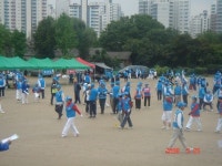 한국게이트볼협회