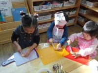 초록나무어린이집