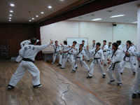 대한합기도경무관