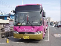 선진관광 정영주