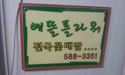 예뜰플라워