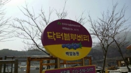 백암블루베리펜션