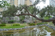 광교힐스테이트공인중개사사무소