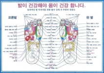 라파엘헬스라이프라파엘자연치유연구소 | 라파치유센터