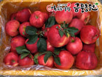 금풍농원