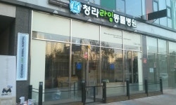 청라라임동물병원