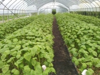 계룡산양화농장