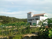 엘림