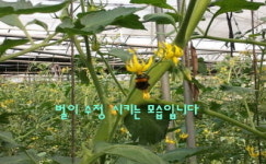 오남매농장
