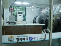 얼룩빼기이박사