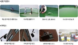 신성토탈시스템