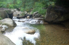 옥순봉펜션