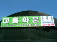 대흥화분