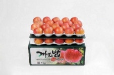 영농조합법인 자연과사람