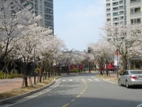 e편한114공인중개사 사무소