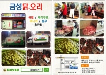 금성닭오리