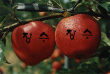 거연농원