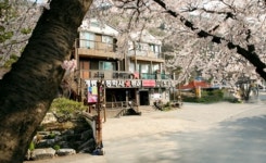 계룡산동학사펜션