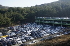 팀모터스