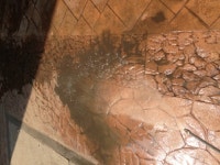 OK환경