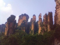 세화여행사