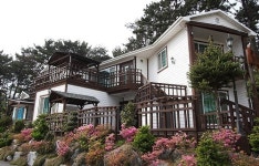 바다랑소나무랑