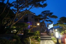 고수대애보이차