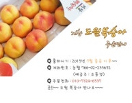 도원복숭아