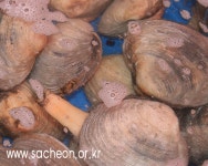 사천수산