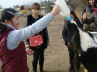 순천치즈캠프