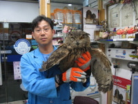 가람동물병원