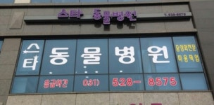 스타동물병원
