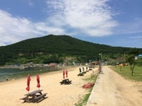 또리민박