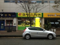 금성칡냉면 금호점