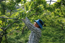 산들농원