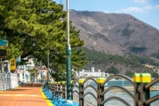 레몬트리펜션