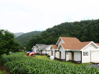 백운물소리펜션