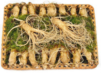 영농법인 천삼정