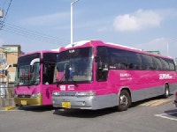 선진관광 방도식