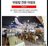 야생초